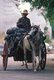 Burma / Myanmar: Charcoal seller with his horse and cart, Mandalay